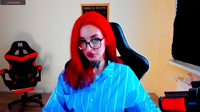 your_tora webcam