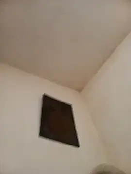 Calypso-Loove webcam