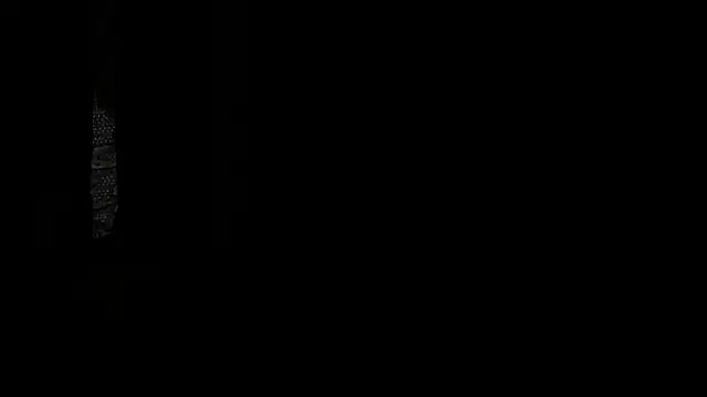 AndreGill webcam