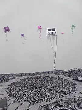 silkyhairs webcam