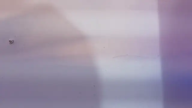 _Maca_rena webcam