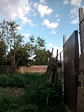 sarpe4 webcam