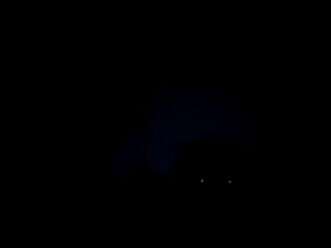 oleg049 webcam