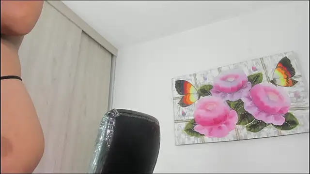 barbie_ds webcam