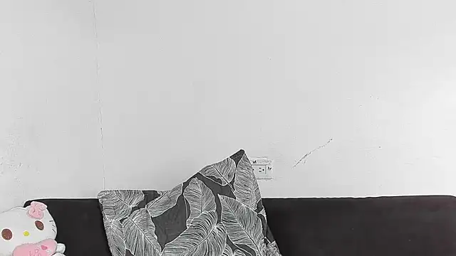 Eirlysx webcam