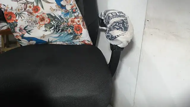 alexam_gal@xh webcam