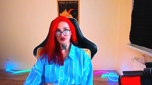 your_tora webcam