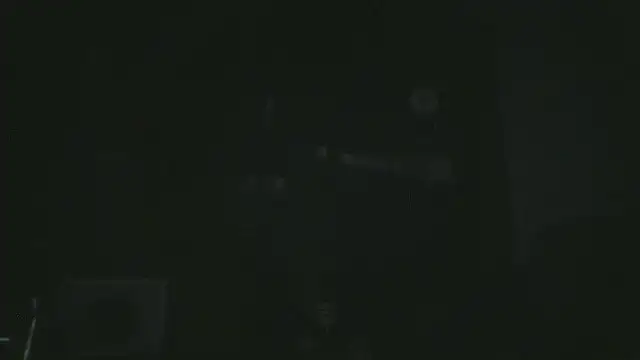 great_feeling webcam