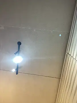 AdaPink_ webcam