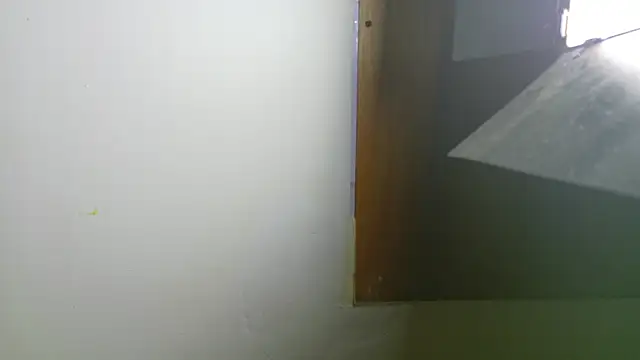 dhante_nova webcam