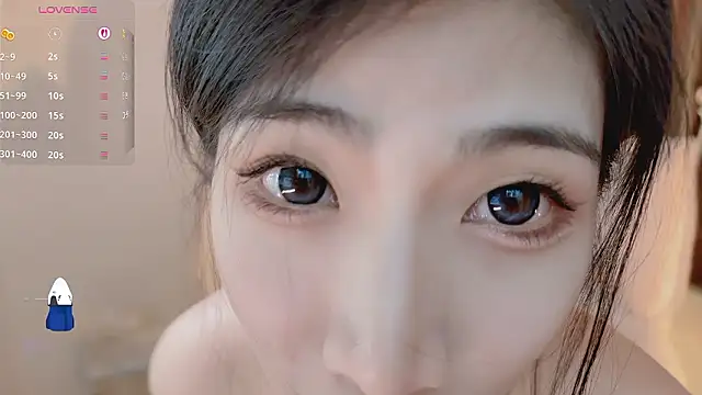 Vaidurya-Yolo webcam
