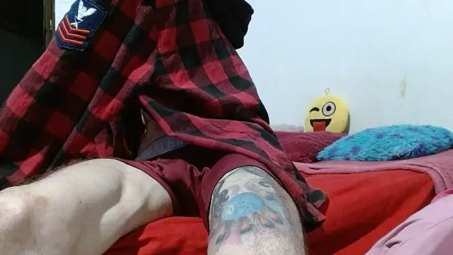 sk8-sir webcam