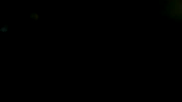 fntbzh56 webcam