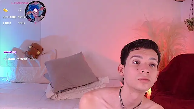 VicenteFerrer webcam