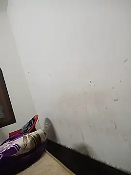 deshilnd webcam