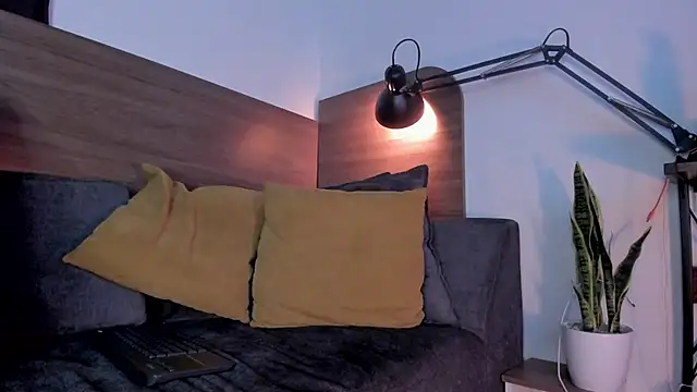 bruno_woods webcam