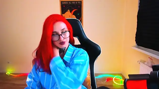 your_tora webcam