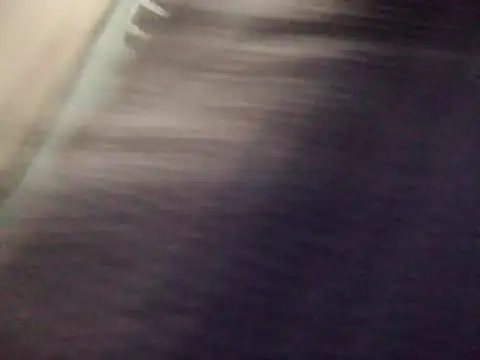 DigCrok webcam