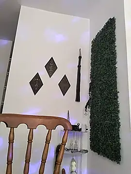 Fleurmeyer79 webcam