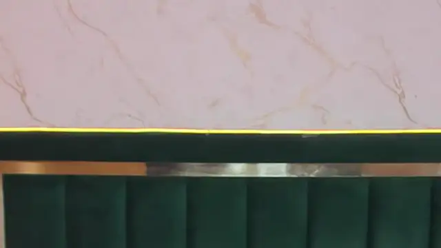 rosal1a webcam