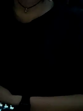 Aashikalaa webcam