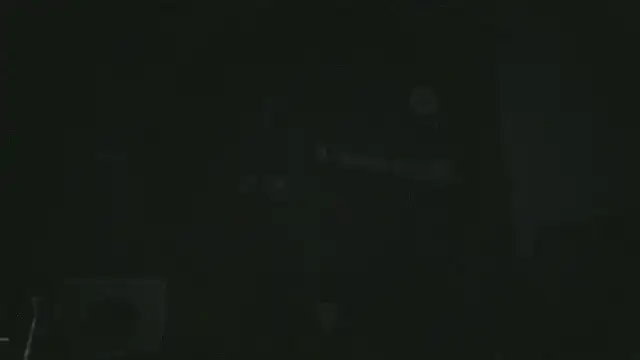 great_feeling webcam