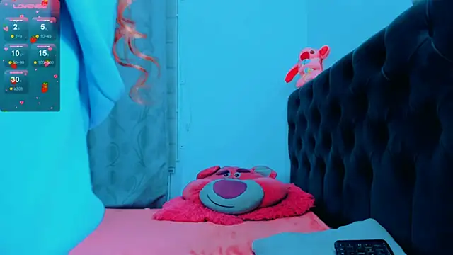 _samy_huber webcam