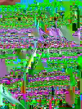 Laureen___ webcam