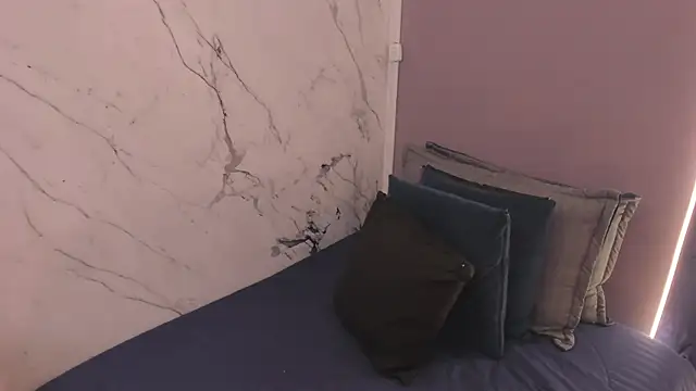 Veravantemp webcam