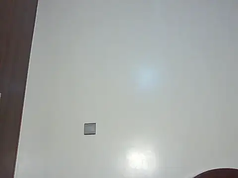 fineriri webcam
