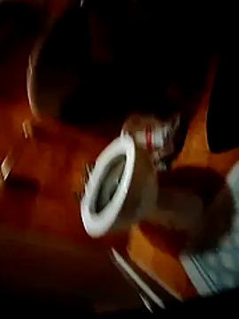 Porcopalestratocazzone21 webcam