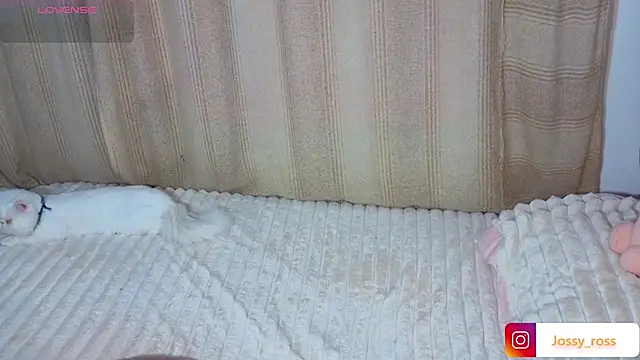 Victoryyy_ webcam