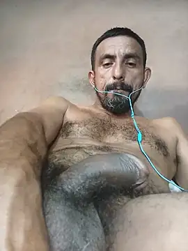 Longthick26cm webcam
