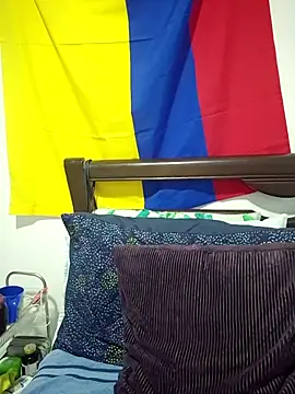 IrisBound webcam