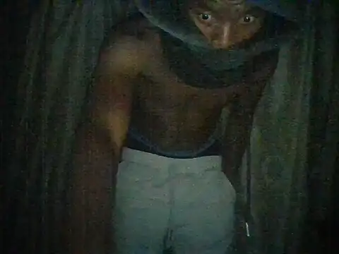S_C1 webcam