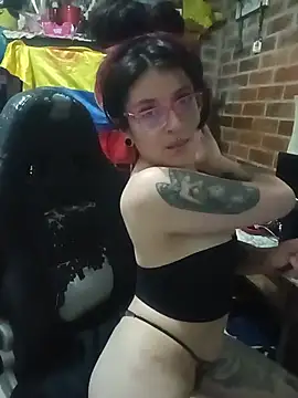 _Alaskamisa webcam