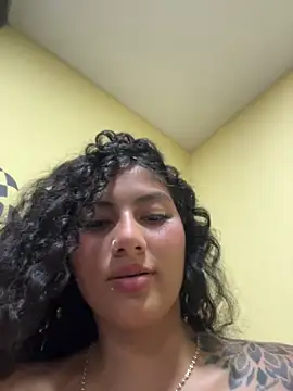 brizzmotion webcam