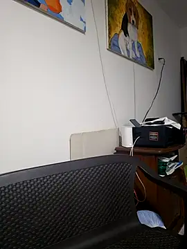 IrisBound webcam