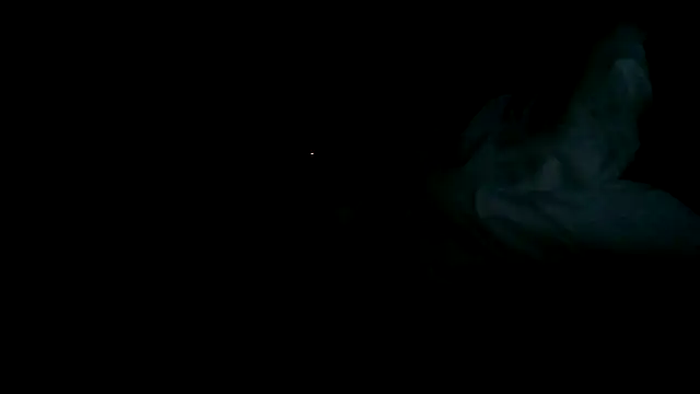 fntbzh56 webcam