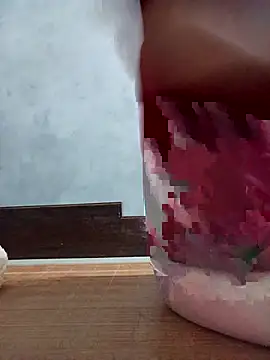 Bong_Hoa webcam
