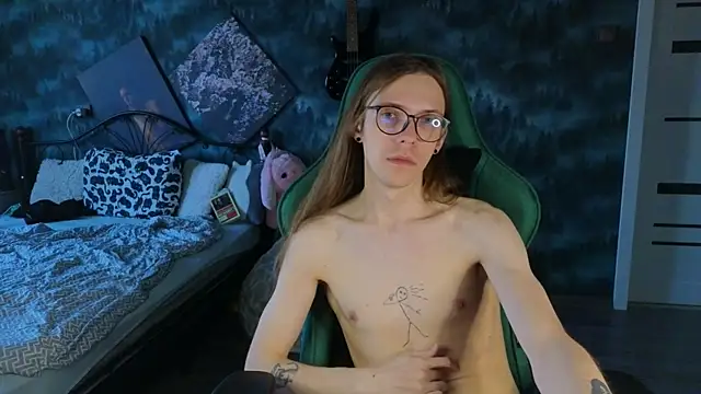 artass2 webcam
