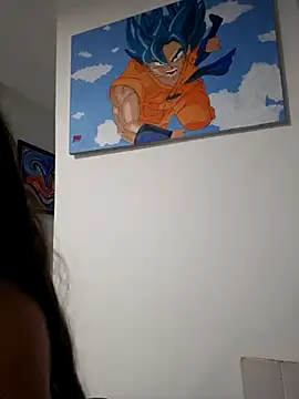 IrisBound webcam