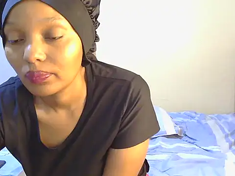 Metilah webcam