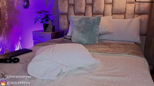 Silvermistt webcam