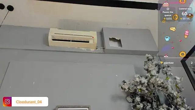Cloedurant webcam