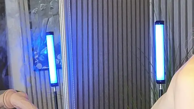 KarmaArms webcam