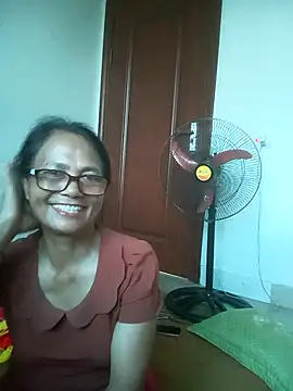 Vieekee webcam