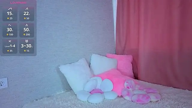 SugarTouch webcam