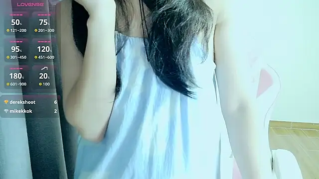 Aalala- webcam