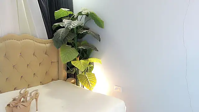 LexiLoreOnTop webcam